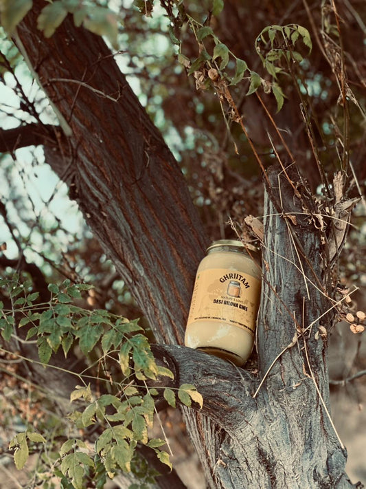 Ghriitam Desi Bilona Ghee (5 kg)